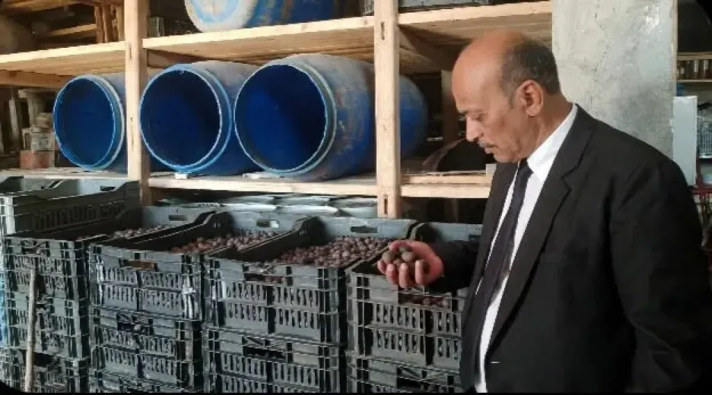 ضربة رقابية جديدة بالغربية.. ضبط 22 طن زيتون مخلل غير صالح للاستهلاك الآدمي داخل منشأة غير مرخصة بطنطا