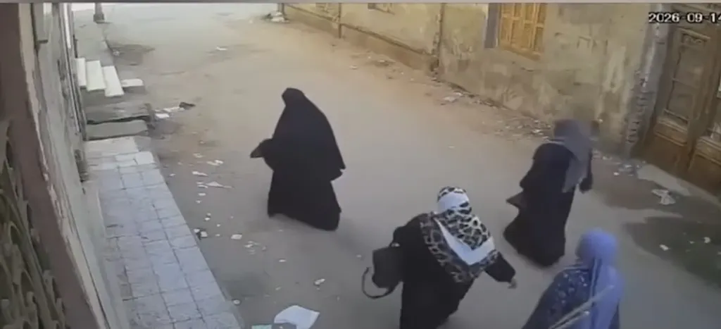 فيديو متداول يثير الجدل حول محاولة سرقة مشغولات ذهبية من سيدة مسنة بالمنوفية