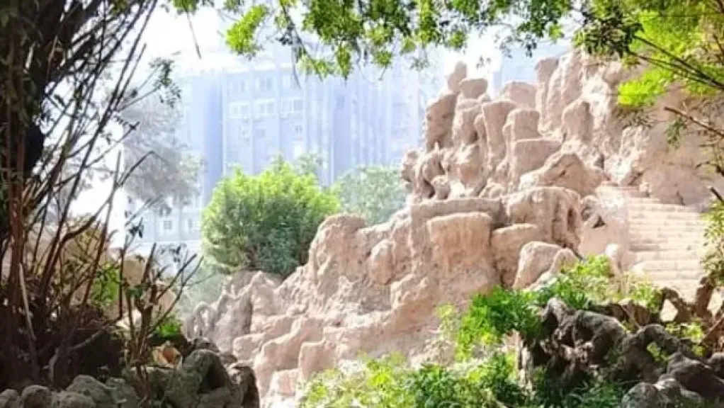 الزراعة تكشف حقيقة ما حدث بحديقة الأسماك بالزمالك.. سقوط شجرة واحدة بسبب عوامل طبيعية