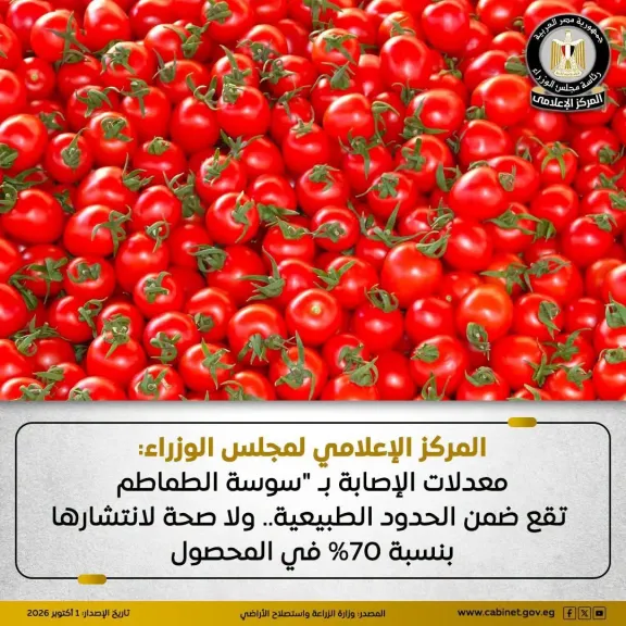 المركز الإعلامي لمجلس الوزراء: معدلات الإصابة بـ ”سوسة الطماطم” تقع ضمن الحدود الطبيعية.. ولا صحة لانتشارها بنسبة ٧٠٪ في المحصول