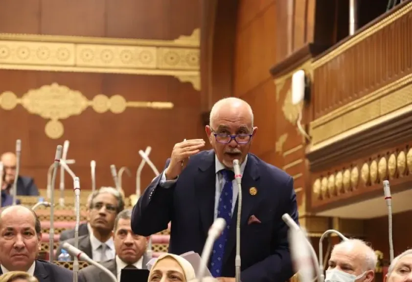 النائب حازم الجندي: بناء الوعي المجتمعي القائم على المعلومات الدقيقة أقوى سلاح لمواجهة الشائعات