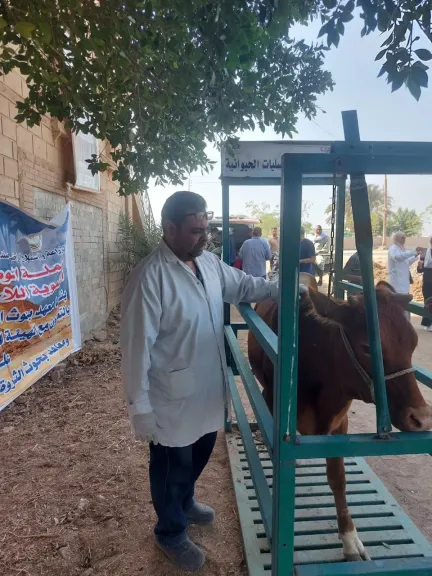 ضربات رقابية للطب البيطري بالغربية.. محافظ الغربية يعلن ضبط 330.5 كجم من اللحوم والدواجن ومصنعاتها