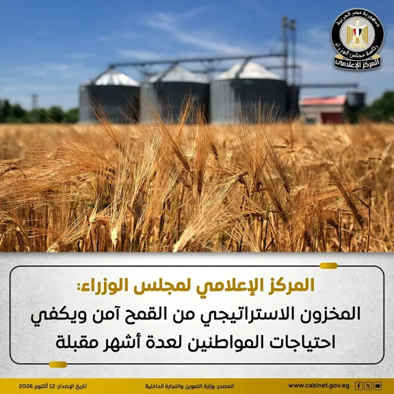 المركز الإعلامي لمجلس الوزراء: المخزون الاستراتيجي من القمح آمن ويكفي احتياجات المواطنين لعدة أشهر مقبلة