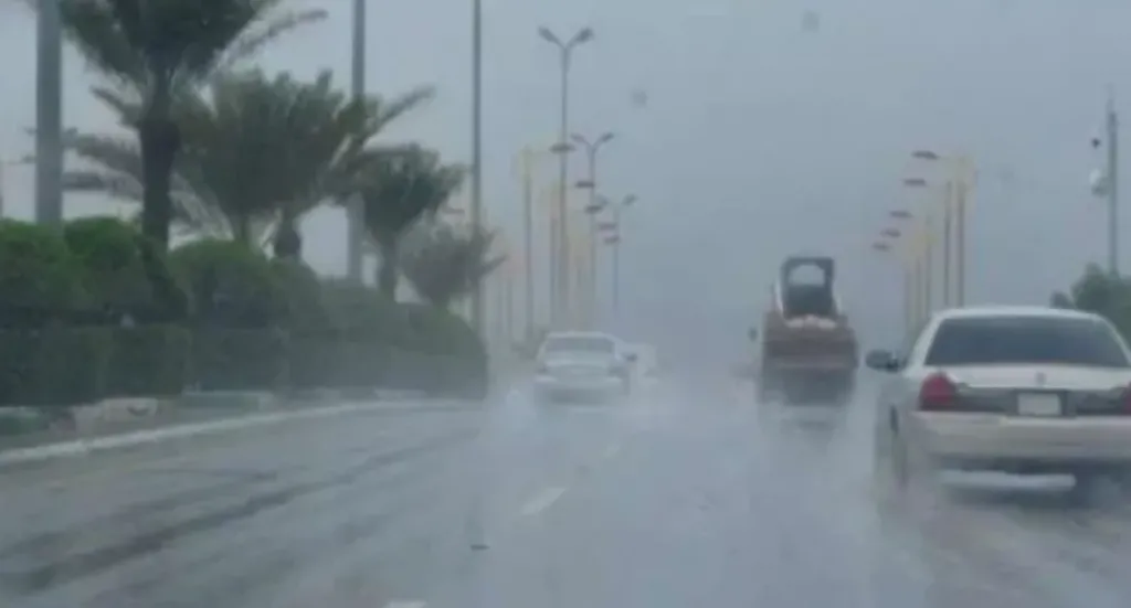 حالة الطقس غدًا.. أجواء خريفية وفرص سقوط أمطار على هذه مناطق