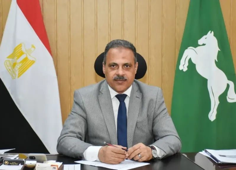 اعتماد الأحوزة العمرانية لـ53 قرية بالشرقية في 6 مراكز