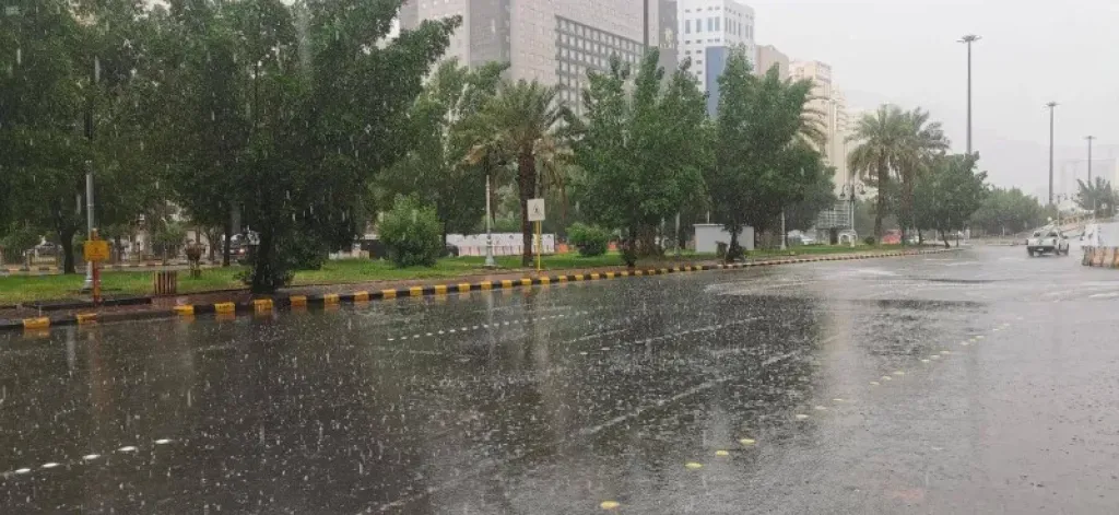 تساقط أمطار خفيفة على مصيف بلطيم والبرلس في كفر الشيخ