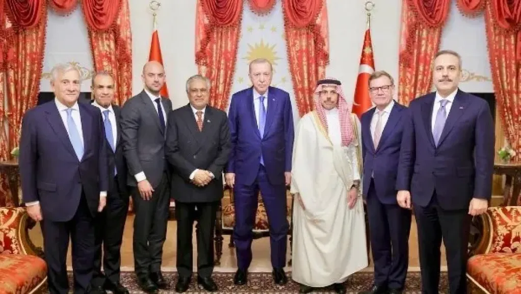 بتكليف من الرئيس السيسي.. وزير الخارجية يلتقي أردوغان في إسطنبول لبحث خفض التصعيد الإقليمي