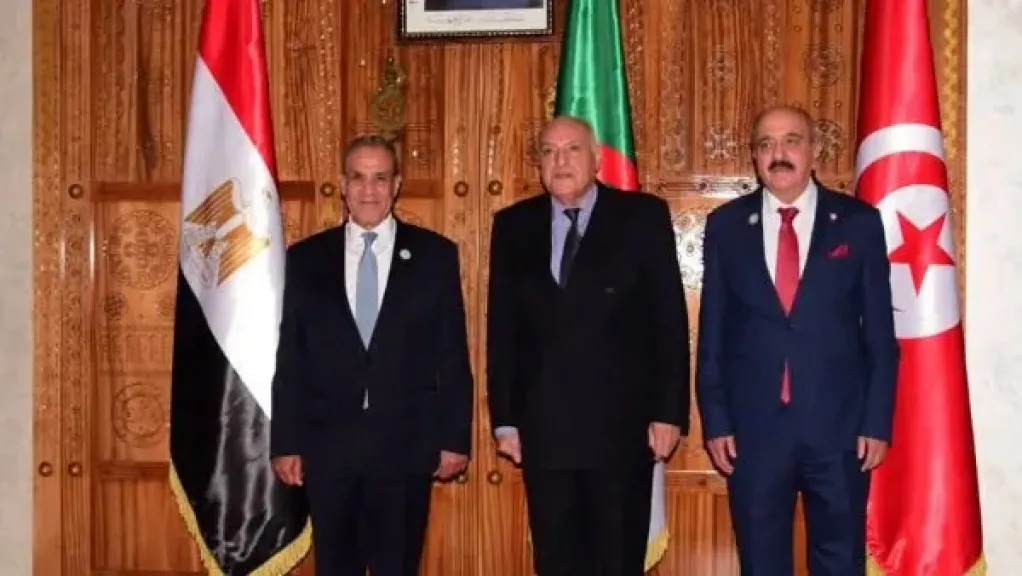 مصر والجزائر وتونس تطالب بخروج القوات الأجنبية والمرتزقة من ليبيا