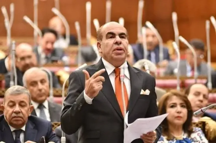 النائب ياسر الهضيبي يطالب الحكومة بخطة عاجلة لمواجهة هجمات الكلاب الضالة وحوادث العقر